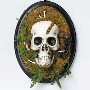 Target 14" Hanging Framed Skull Halloween Decorative Prop - Hyde & EEK